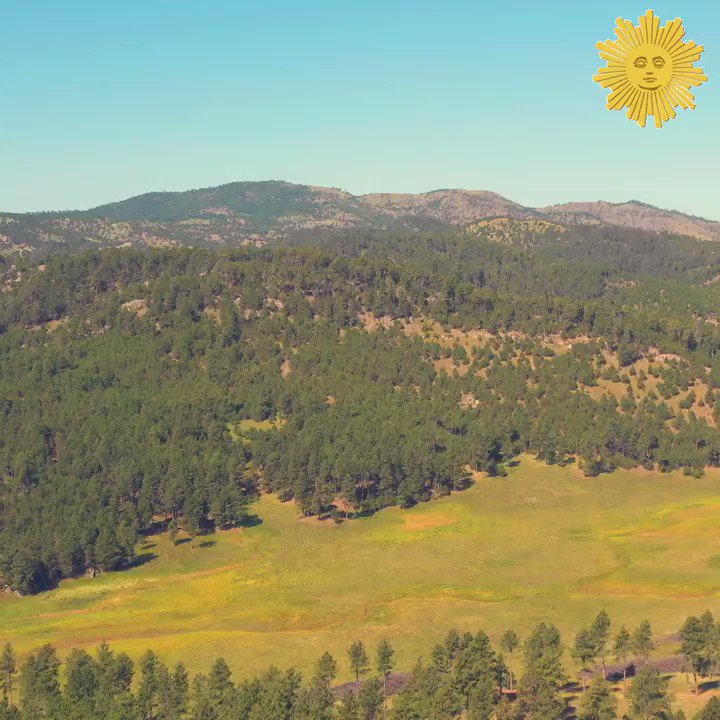 Do Nothing For Two Minutes
Take a minute, turn up the volume as we take you to Custer State Park, in Custer, South Dakota, where the buffalo roam. Videographer: Charles Schultz. https://cbsn.ws/32RccaJ