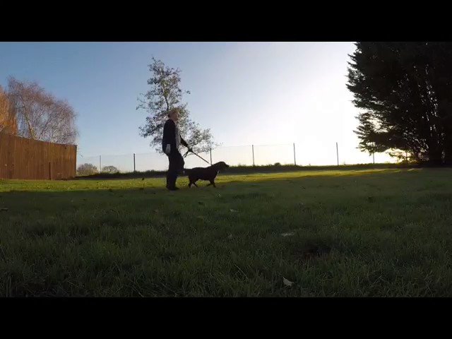 Essex Police (@EssexPoliceUK) on Twitter photo 2019-12-12 15:59:00 Have you seen the @jlandpartners #Christmas advert? Meet our own version of #ExcitableEdgar the dragon… Excitable Police Dog Jess: Have a fun and safe #Christmas everyone, love from our @EPDogSection and police dogs. Woof! 🐾 #ProtectingEssex Have you seen the @jlandpartners #Christmas advert? Meet our own version of #ExcitableEdgar the dragon… Excitable Police Dog Jess: Have a fun and safe #Christmas everyone, love from our @EPDogSection and police dogs. Woof! 🐾 #ProtectingEssex