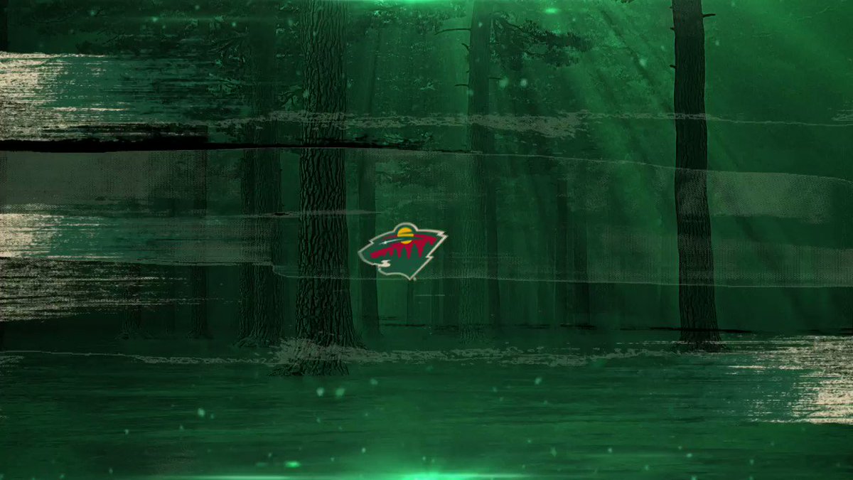 Minnesota Wild @mnwild