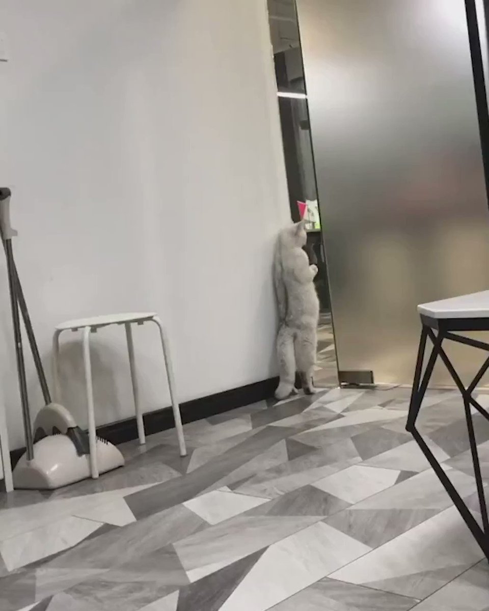 They're evolving