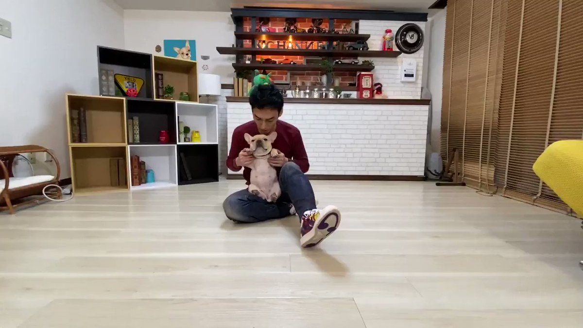 「おててをパッ」草彅剛さんのされるがままのクルミちゃんの表情にご注目