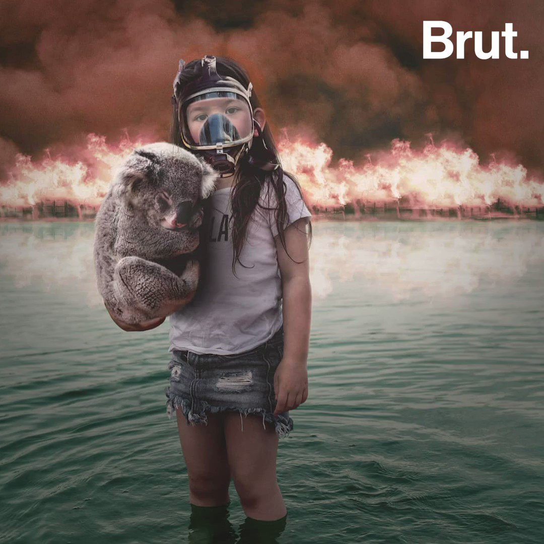 Brut nature FR (@brutnaturefr) on Twitter photo 2020-01-06 17:57:49 Incendies en Australie : Cette photo d’une fillette tenant un koala dans ses bras a ému des milliers d’internautes. Pourtant, elle n’est pas authentique… Incendies en Australie : Cette photo d’une fillette tenant un koala dans ses bras a ému des milliers d’internautes. Pourtant, elle n’est pas authentique…