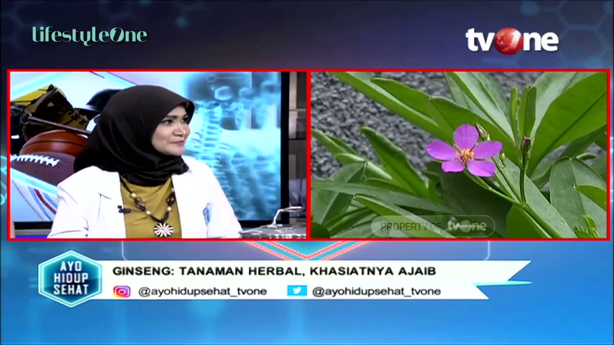 Halo sobat lifestyleOne! Ginseng merupakan tumbuhan rempah-rempah yang memiliki banyak manfaat loh, salah satunya yaitu dapat mencegah kanker. Simak pembahasannya di YouTube channel lifestyleOne! #tvOneNews #lifestyleOne #ginseng