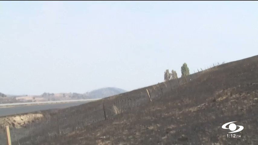 Incendios en Australia, una terrible tragedia ecológica en la que han muerto miles de animales http://noticiascaracol.com