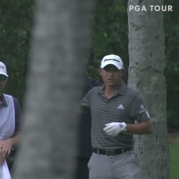 RT @GOLFTV: Teamwork.

Morikawa and his caddie nailed this tough escape.

#CaddiesWeek

https://t.co/uMIQHVV6po