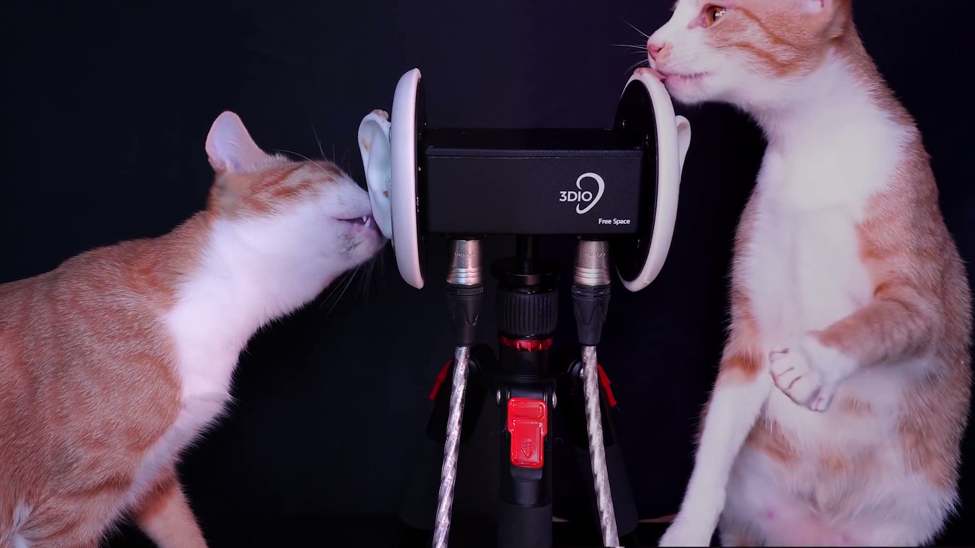 Re: [Vtub] 青桐高校 ASMR轉非公開