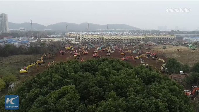 Embedded video