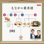 もなかの家系図？!実はおたべと八ツ橋に妹がいたらしいがそれって…!？？