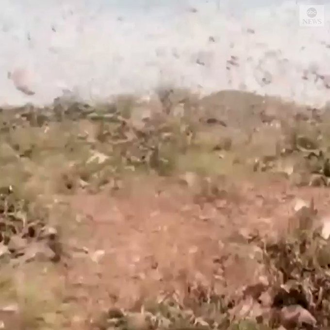 Уграђени видео