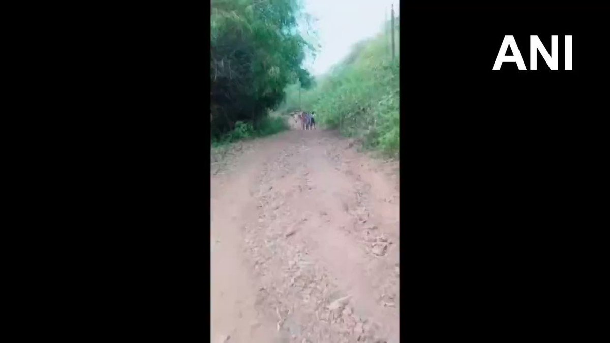 #WATCH Andhra Pradesh: A 22-year-old man suffering from jaundice carried on a makeshift stretcher for 12 km to reach ambulance in Vizianagaram district due to lack of proper road connectivity.