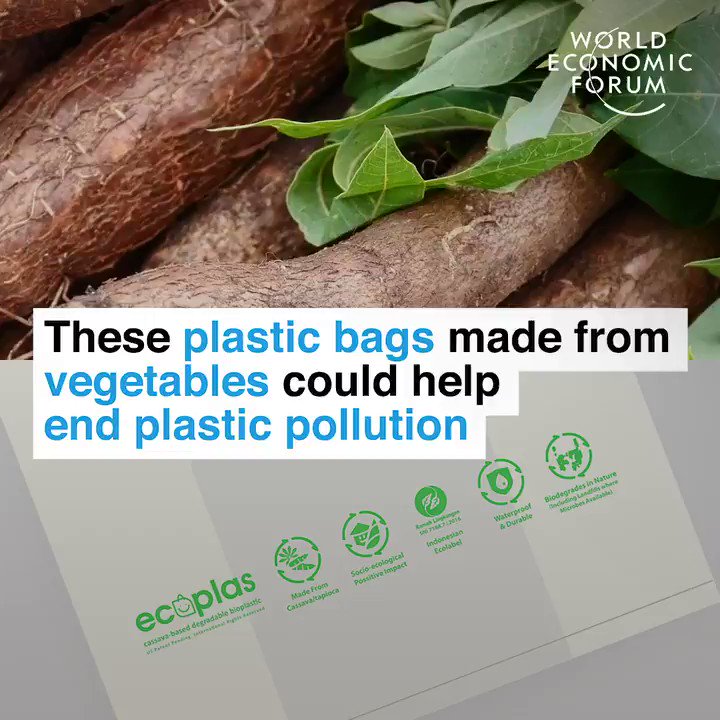 World Economic Forum on Twitter "A sustainable way to shop. 🔎 Learn