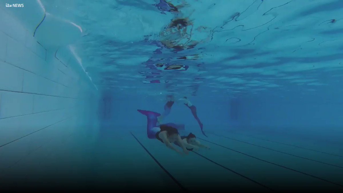 AquaticDolphin photo