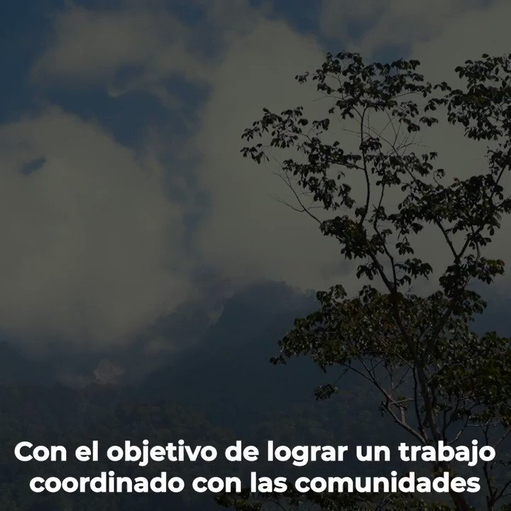 🌟Nos sumamos al programa @SemVidaMx.🌱🍃Durante una gira de trabajo por #Chiapas, #Semarnat, @bienestarmx y representantes del @Conacyt_MX, acordamos trabajar juntos para fomentar la conservación y mejora del ambiente con un enfoque biocultural.🤜🏽🤛🏽▶️http://bit.ly/3bOpafc