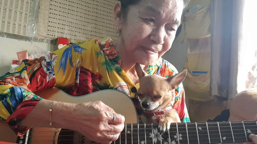 The ultimate definition of #LoveYourPetsDay is Malinda singing to her tiny little pup: https://youtu.be/uEsYtapxVb0