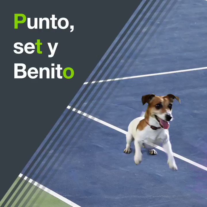 🎾 ¡Nadal juega en Acapulco esta semana! 🇲🇽 ¿Qué rivales tendrá enfrente? ⚔ ¿Cómo puede salir de reforzado de este torneo? 💪 ¡Todo te lo cuenta @alvarobenitolb!