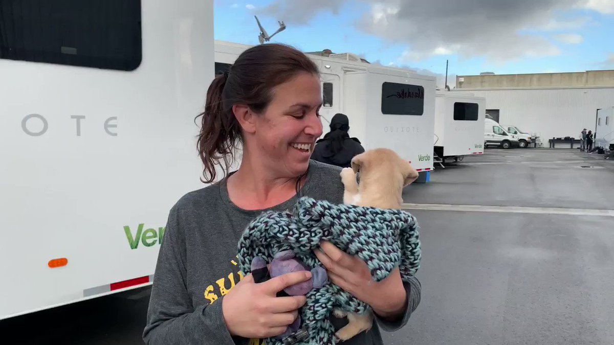 Stumptown (@StumptownABC) on Twitter photo 26/02/2020 00:00:20 Meet Lacey! Our #Stumptown puppy, who was rescued by crew member Jennifer! Meet Lacey! Our #Stumptown puppy, who was rescued by crew member Jennifer!