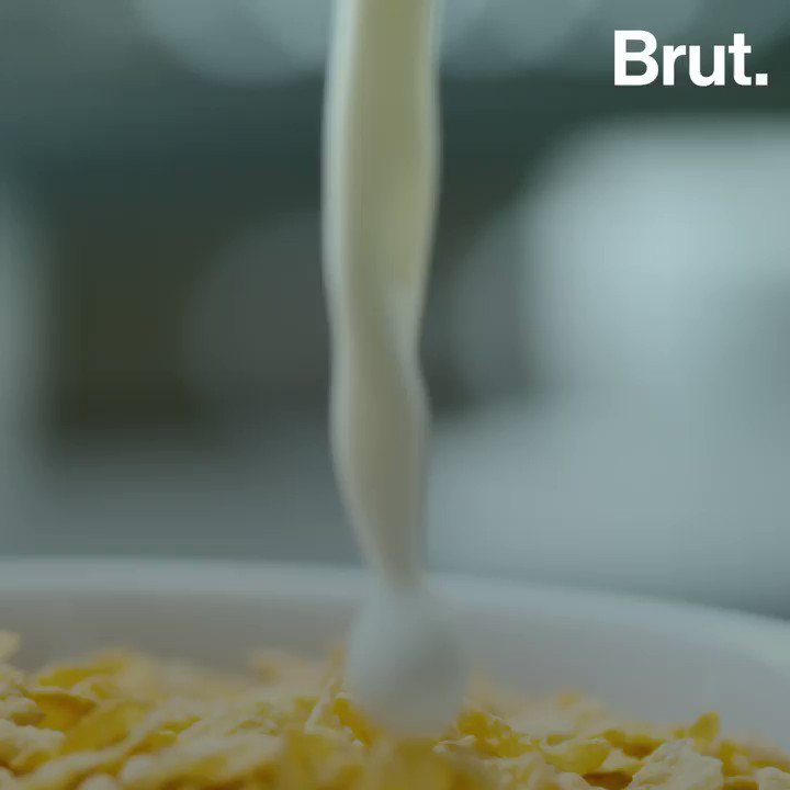 Brut FR on Twitter ""Pourquoi les Corn Flakes ont été inventés ?" C