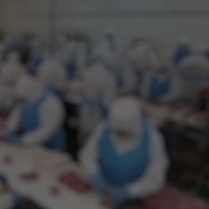 Maltraitance animale en abattoirs : le fiasco de la loi alimentation. Les mesures ont été nombreuses ces dernières années, face à une opinion publique secouée par les vidéos de L214. Mais les résultats peinent à se concrétiser. Enquête.https://www.franceculture.fr/societe/maltraitance-animale-en-abattoirs-le-fiasco-de-la-loi-alimentation …
