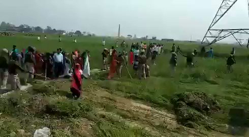 एम्बेडेड वीडियो