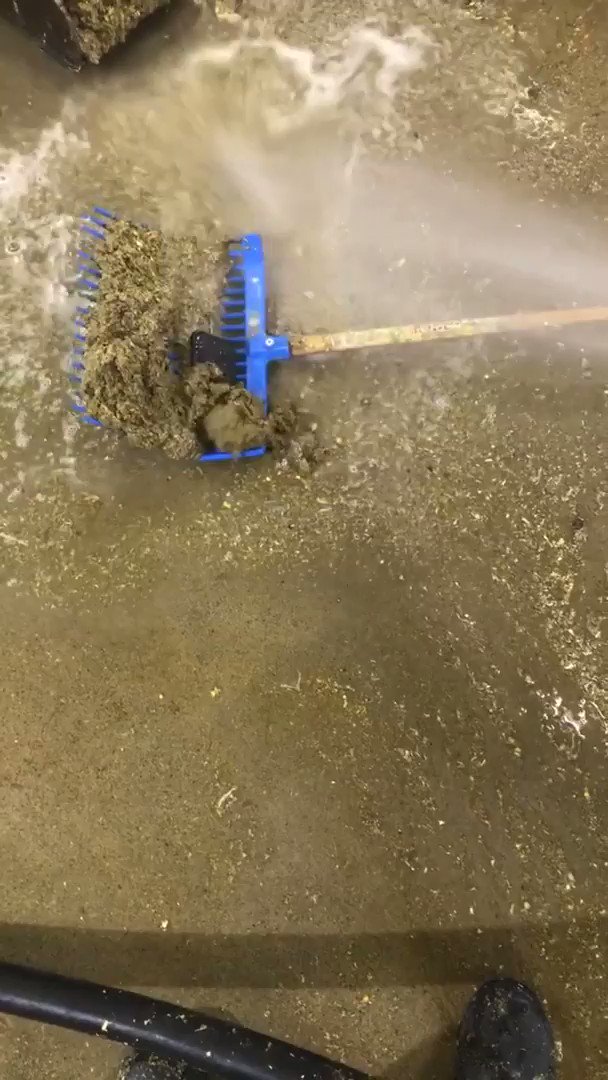 最後のオチまで注目！泥の中からスマホを救出する動画が面白すぎるw