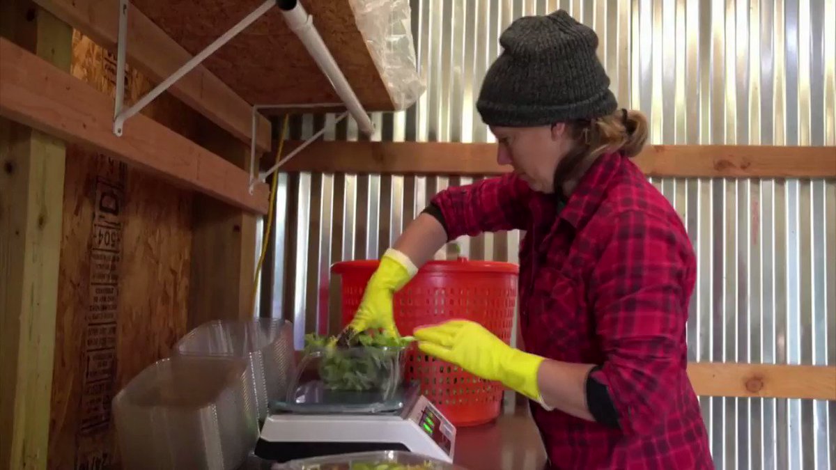Farmers in rural America are adapting their businesses and delivering products at the doorsteps of their customers, who are practicing social distancing https://reut.rs/3dtQQqv