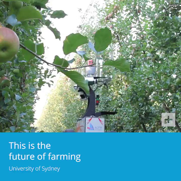Leonel Carvalho Jr. (@leocarjr) on Twitter photo 2020-04-03 18:50:22 This is the future of farming. This is the future of farming.