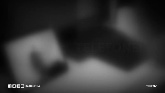 Ενσωματωμένο βίντεο
