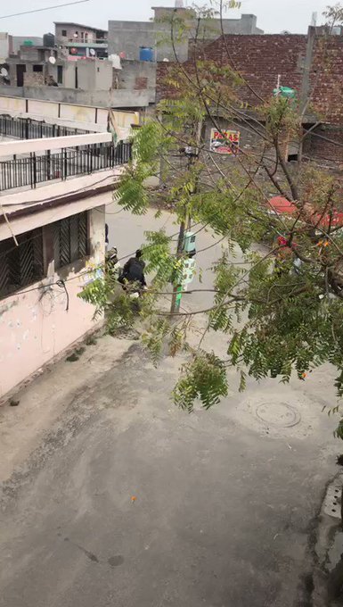 एम्बेडेड वीडियो