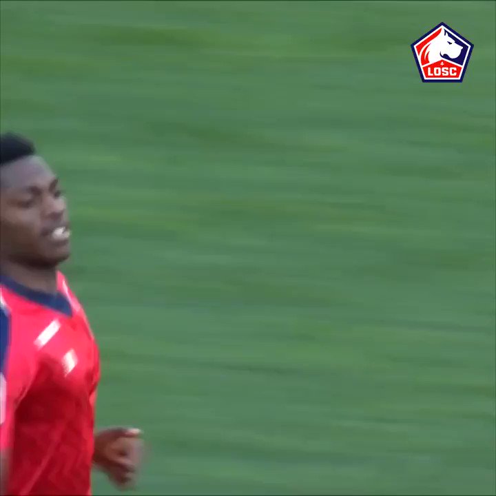 LOSC @losclive