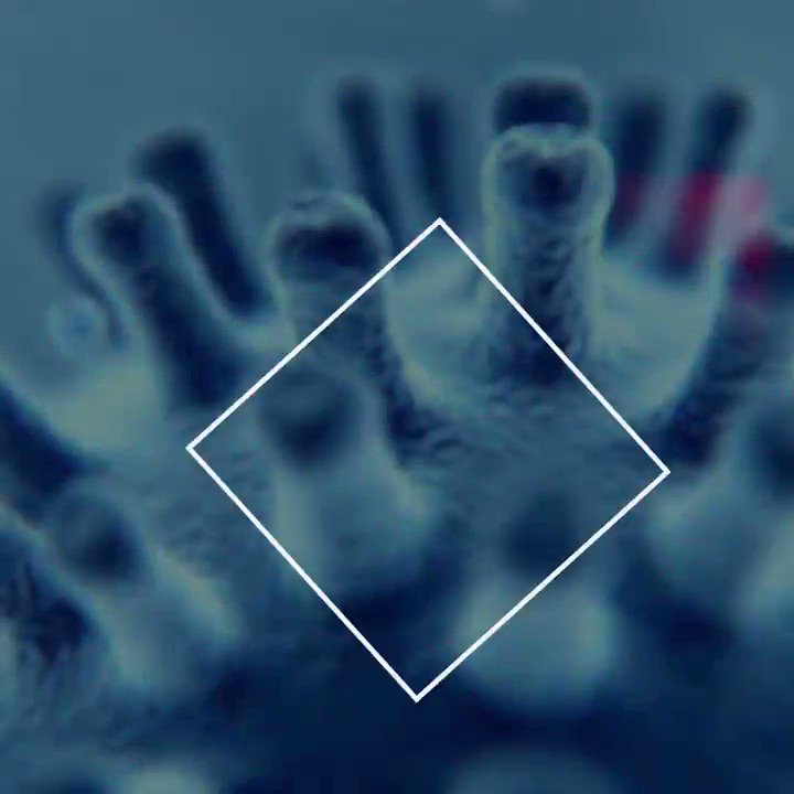 ¿Cómo puede evolucionar la pandemia del #coronavirus? ¿Cómo las medidas de distanciamiento podrán frenarla?
Esto es lo que nos pueden decir sobre la situación actual estos proyectos de la UE:
https://ec.europa.eu/digital-single-market/en/news/forecasting-coronavirus-pandemic-help-eu-projects …
📽️ Vídeo @DSMeu