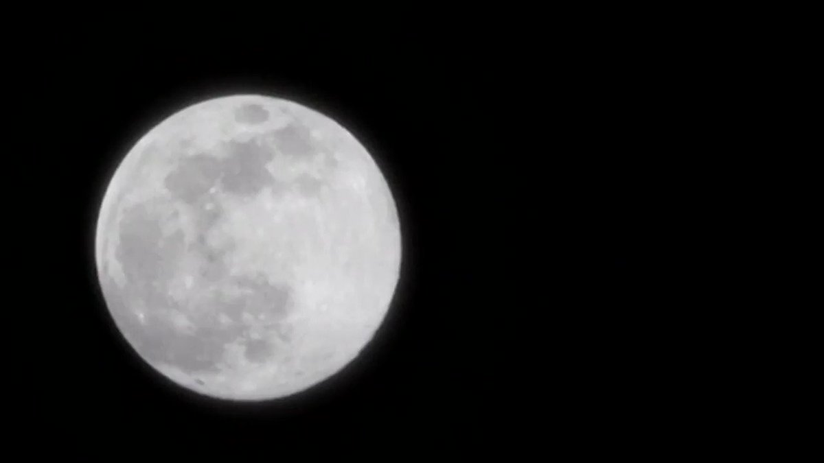 Views of the night sky from across the globe as the world witnessed the brightest supermoon of 2020