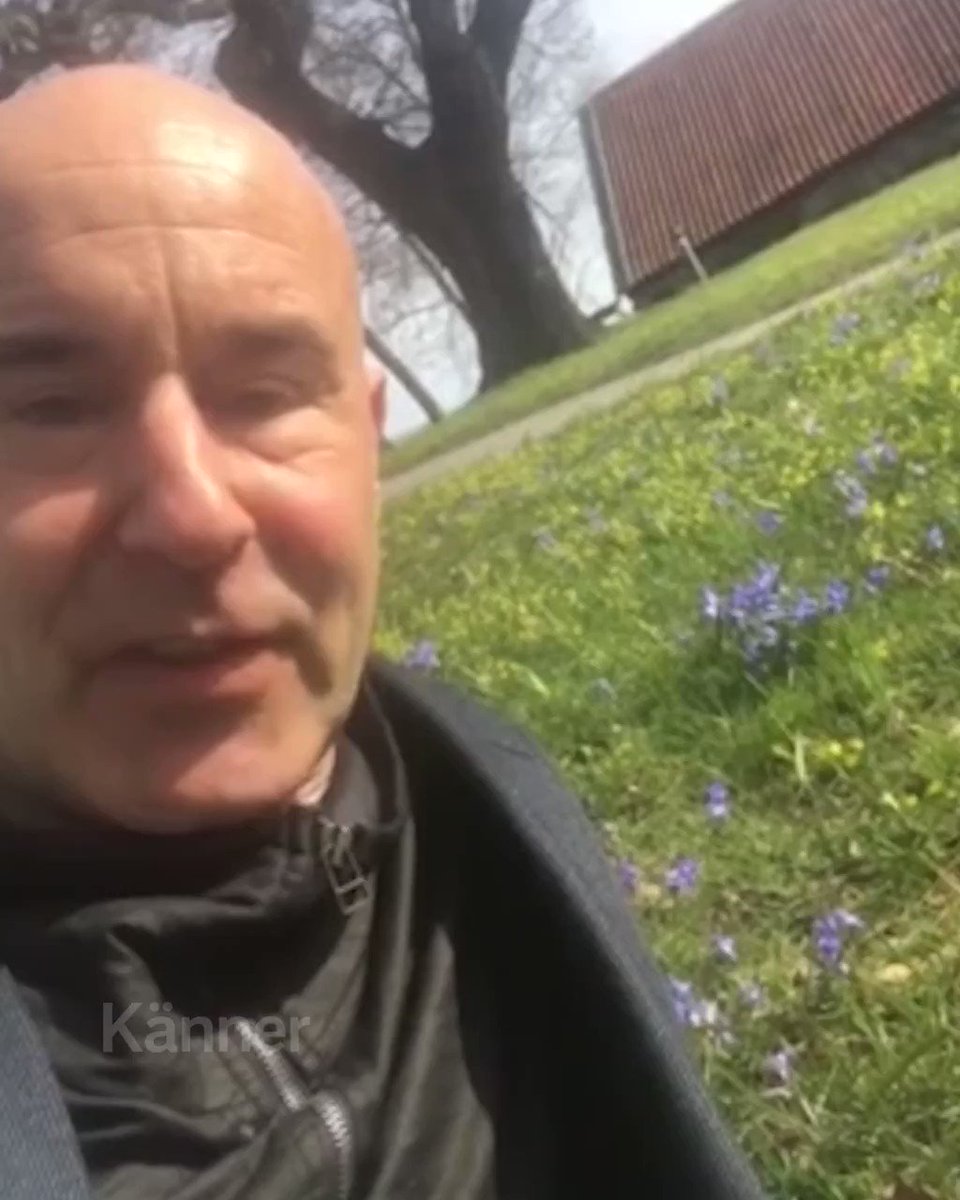 SVT (@svt) on Twitter photo 2020-04-09 08:23:28 Låt oss hylla alla dem som hyllas bör. ❤️ Och hjälp oss att göra en hjärtevärmande sändning på lördag! #enkvälltillsammans Låt oss hylla alla dem som hyllas bör. ❤️ Och hjälp oss att göra en hjärtevärmande sändning på lördag! #enkvälltillsammans