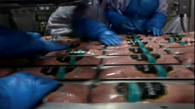 Embedded video
