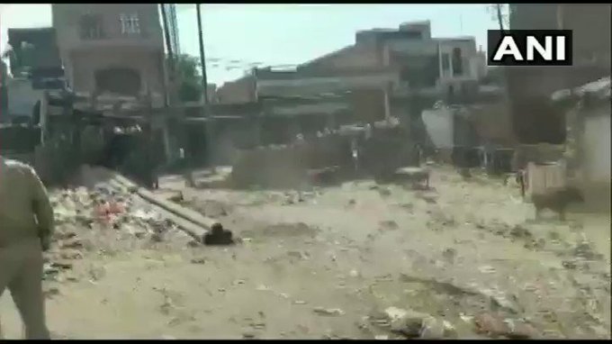 Embedded video