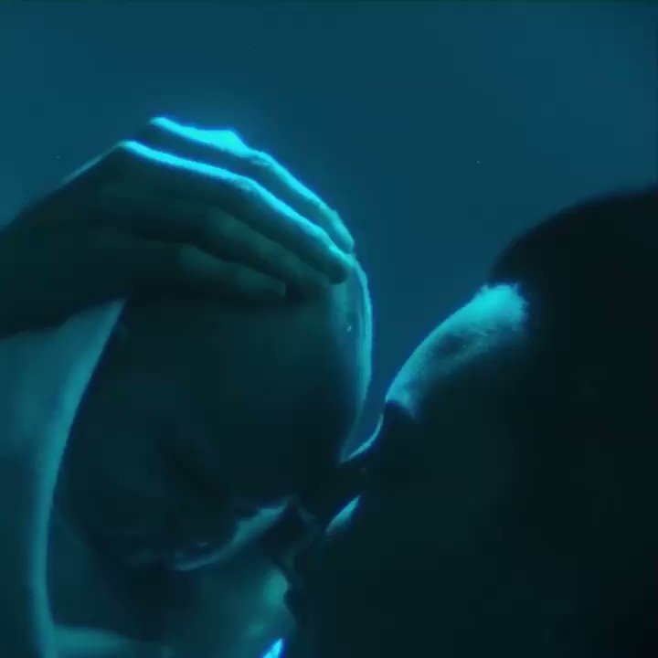 Siren airing on Freeform 