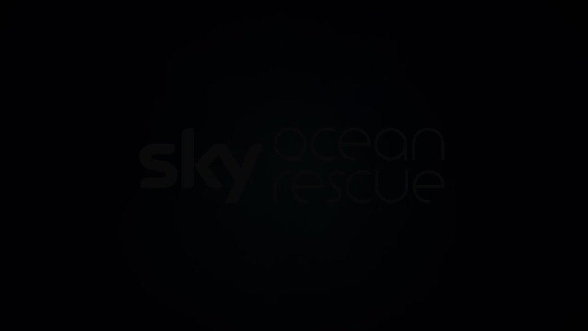 Our @SkyNews documentary #ThePlasticNile investigates the effect of single-use plastic on the Nile and the millions of people & wildlife that rely on the river for survival. ๐ง Premieres TONIGHT at 9pm on @SkyTV's #SkyDocumentaries. ๐บ https://t.co/e8bl6cf8kM