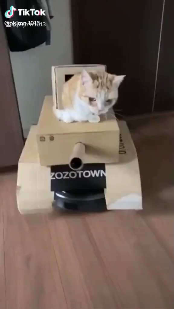 ZOZOの箱とルンバがあればにゃんこ戦車のできあがり