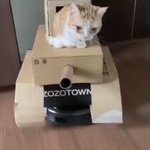 ZOZOの箱とルンバがあればにゃんこ戦車のできあがり