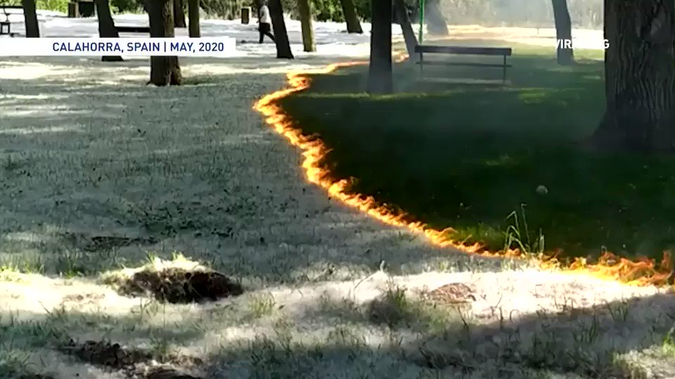 The Weather Network on Twitter "Mesmerizing video shows a line of fire