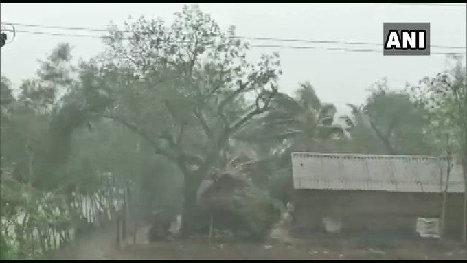 एम्बेडेड वीडियो