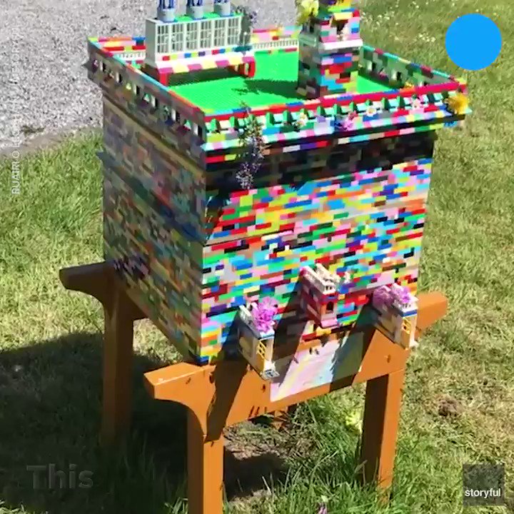 USA TODAY (@USATODAY) on Twitter photo 2020-05-20 17:34:08 This is one colorful beehive. This is one colorful beehive.