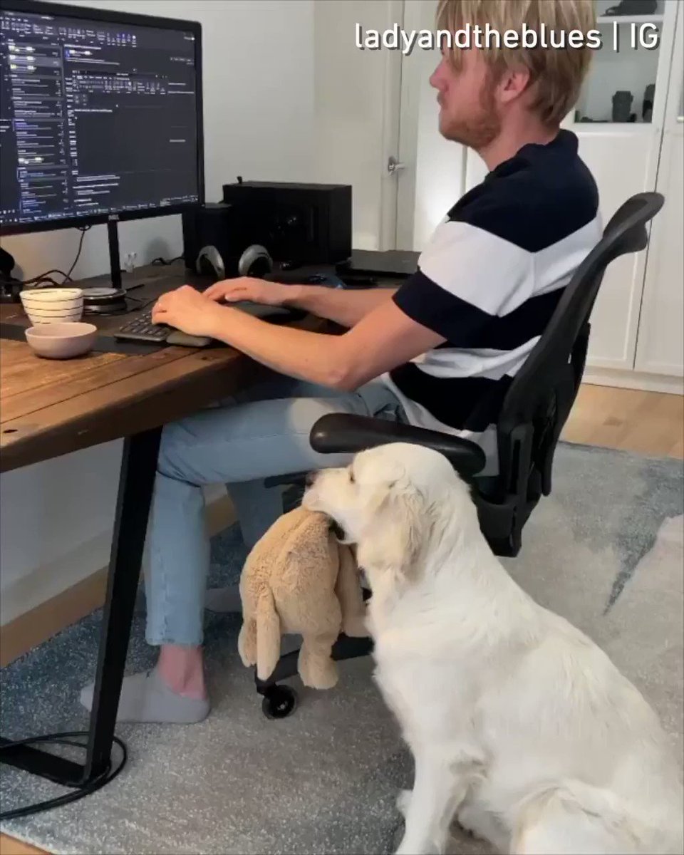 Play with me please⠀
📹 ladyandtheblues | IG⠀ https://t.co/c9PHNx77OL