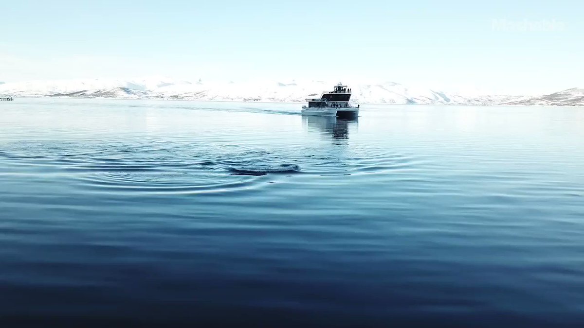 The Brim Explorer, a silent hybrid electric #ship, can #Cruise for 10 hours on 100% #Sustainable electricity. "Our goal was to set a new standard for sustainable #Tourism", says co-founder #Espen.
#ActOnClimate #ClimateChange #CleanEnergy #UG4PH #SDGs
https://t.co/bGHR8l6zTF