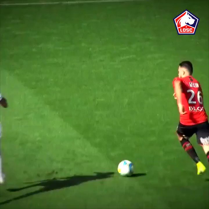 LOSC @losclive