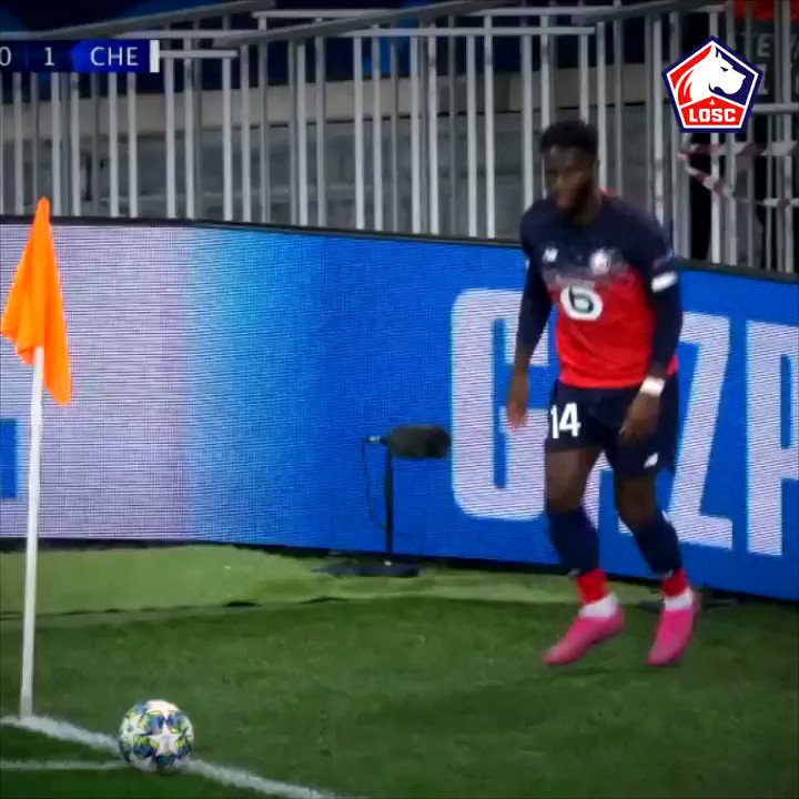 LOSC @losclive
