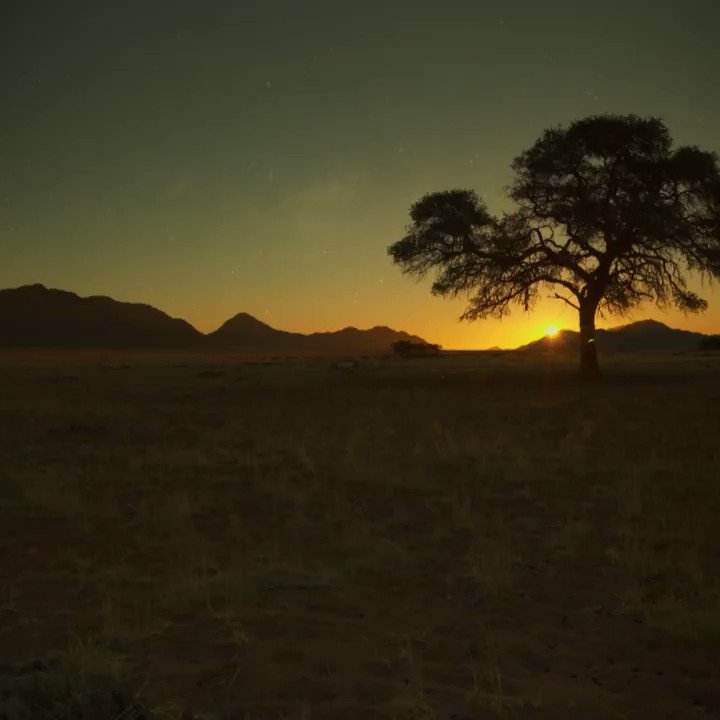 Wild animal babies are all united by the same challenge: To make it beyond this most vulnerable time of their lives. ๐ ๐ฆ ๐
Catch all episodes of our new series #WildAnimalBabies now on @skytv's #SkyNature channel. https://t.co/97JBlNpyra