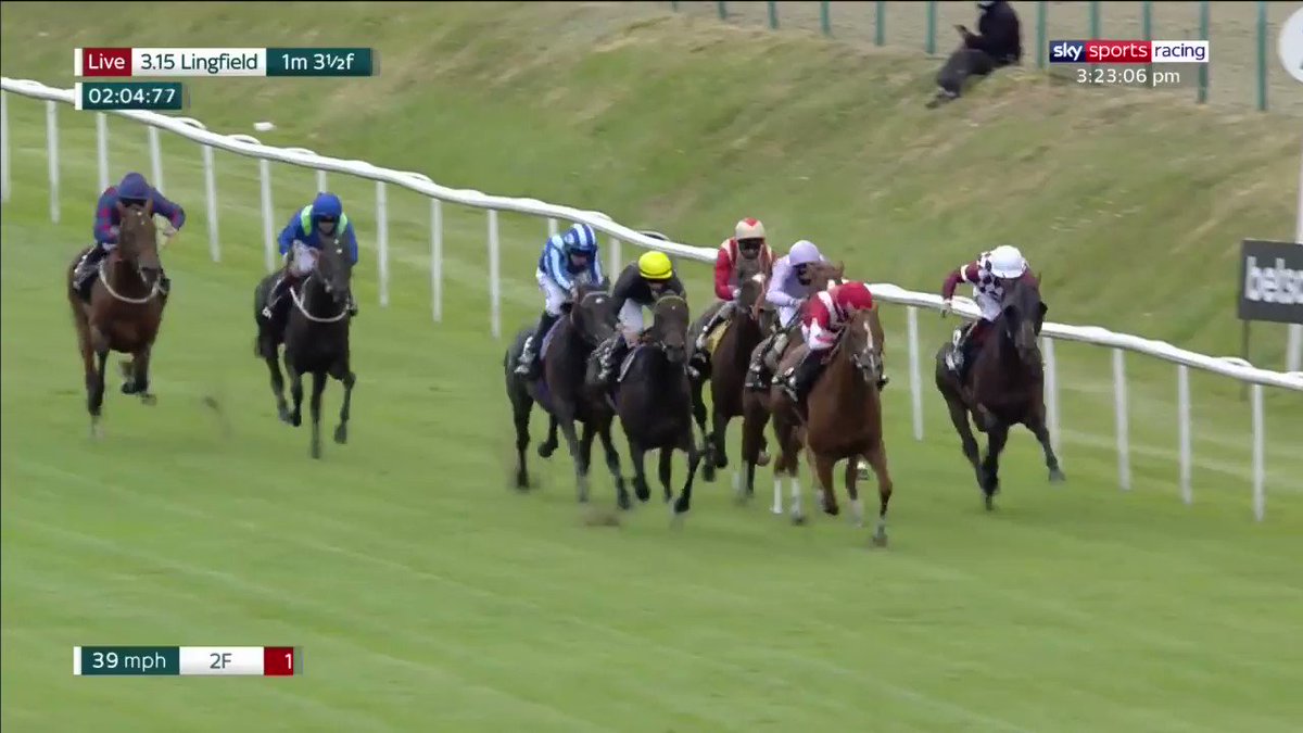 @TWEnclosure's photo on English King