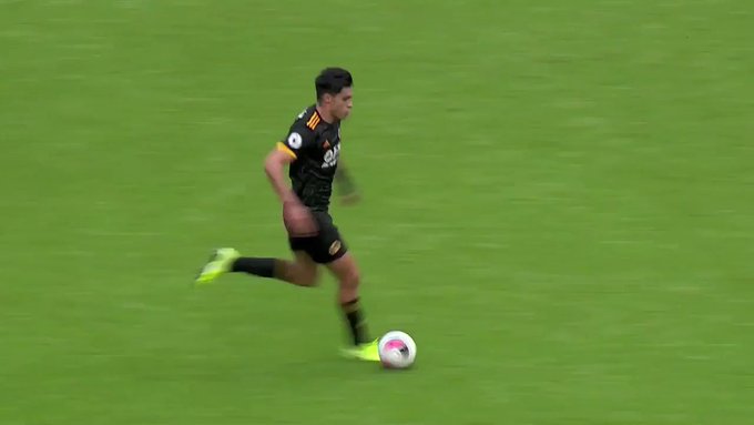 Video insertado