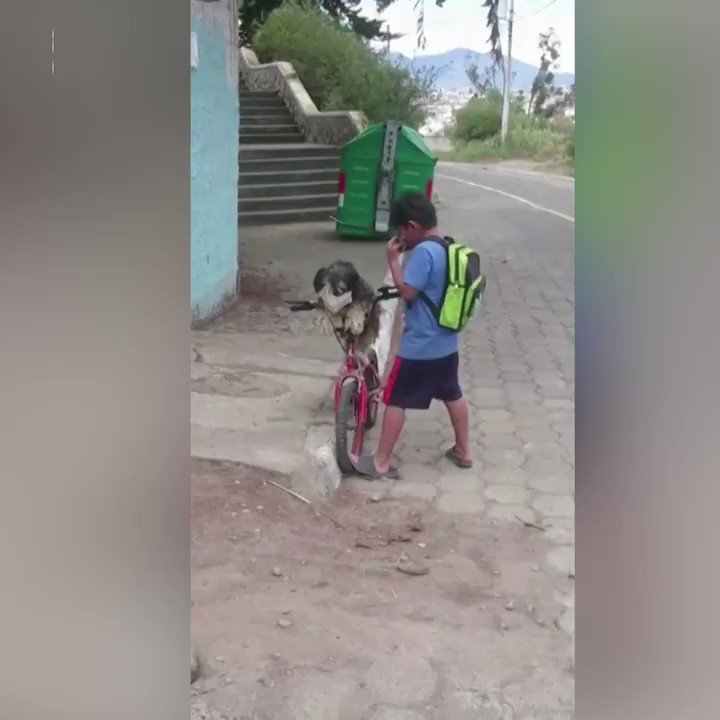 WATCH: A video of a boy in Ecuador putting a face mask on his dog and himself as they prepare for a bike ride is viral https://t.co/LylXc9AOGV