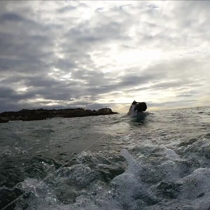 #SharkWeek is BACK, and legends like Iron Mike, Will, and Shaq are getting chummy with the stars of the sea.
❤️ this tweet to set a reminder for the jaw-some feats of nature coming your way every night this week on @Discovery starting Sunday, August 9 at 8P. https://t.co/LrOXYfjDh5